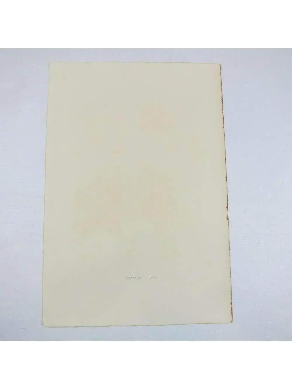 Antique 1892 Print 